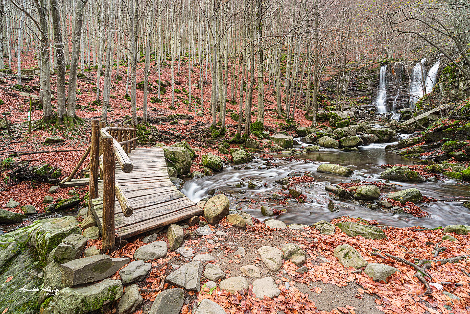 Ponticello sul Dardagna..
