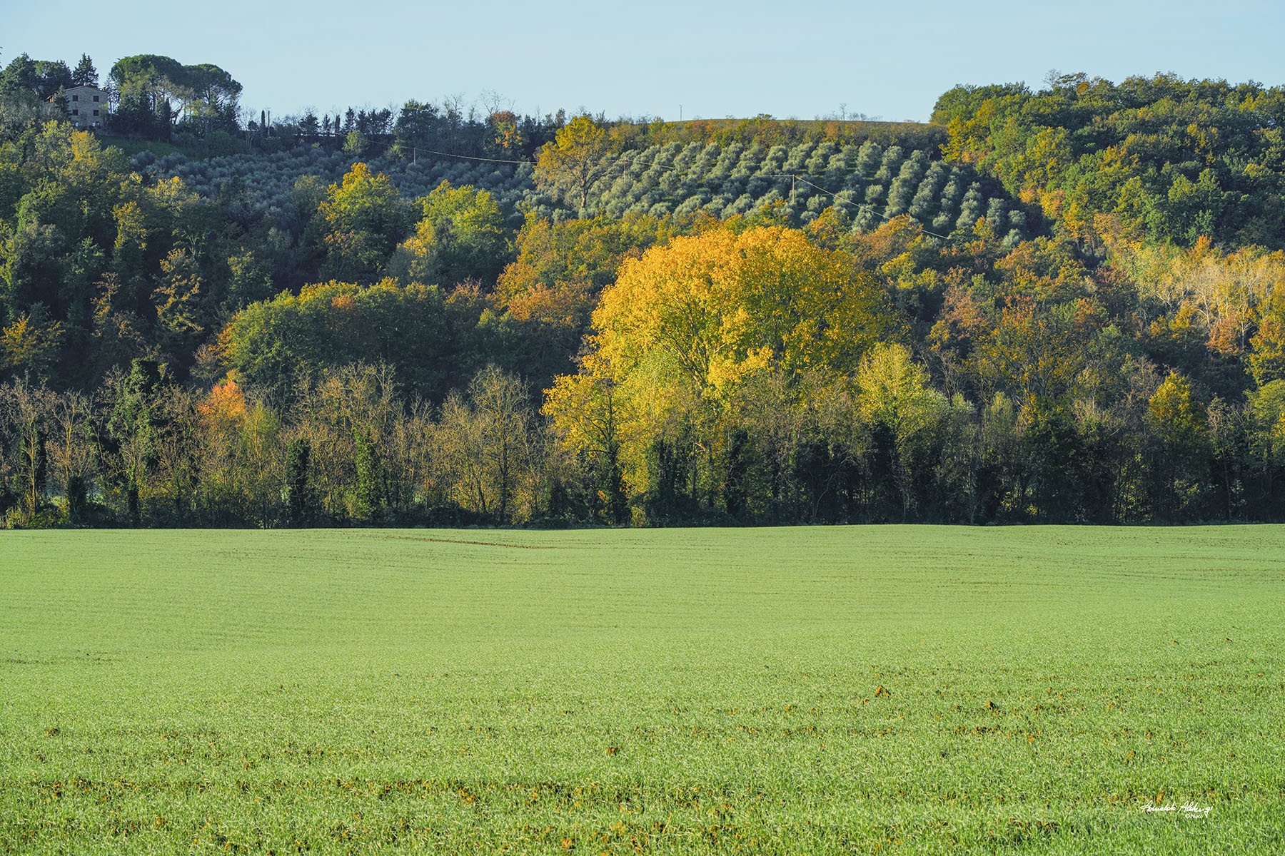 Prateria ed suoi colori autunnali..
