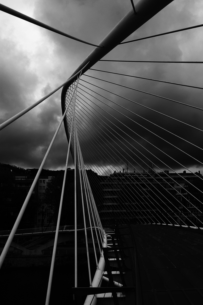 Pasarela de Santiago Calatrava