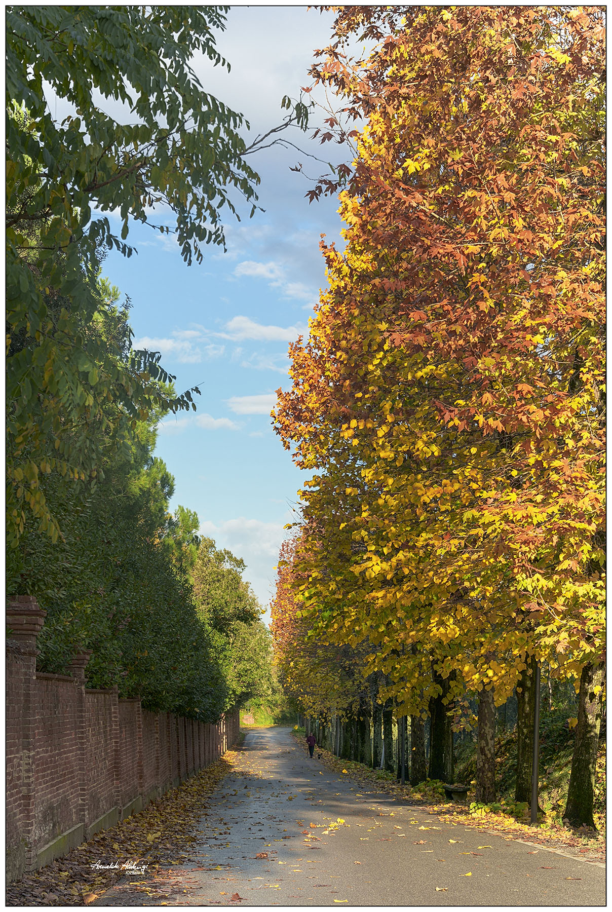 Camminando.. vialetto dai colori autunnali..