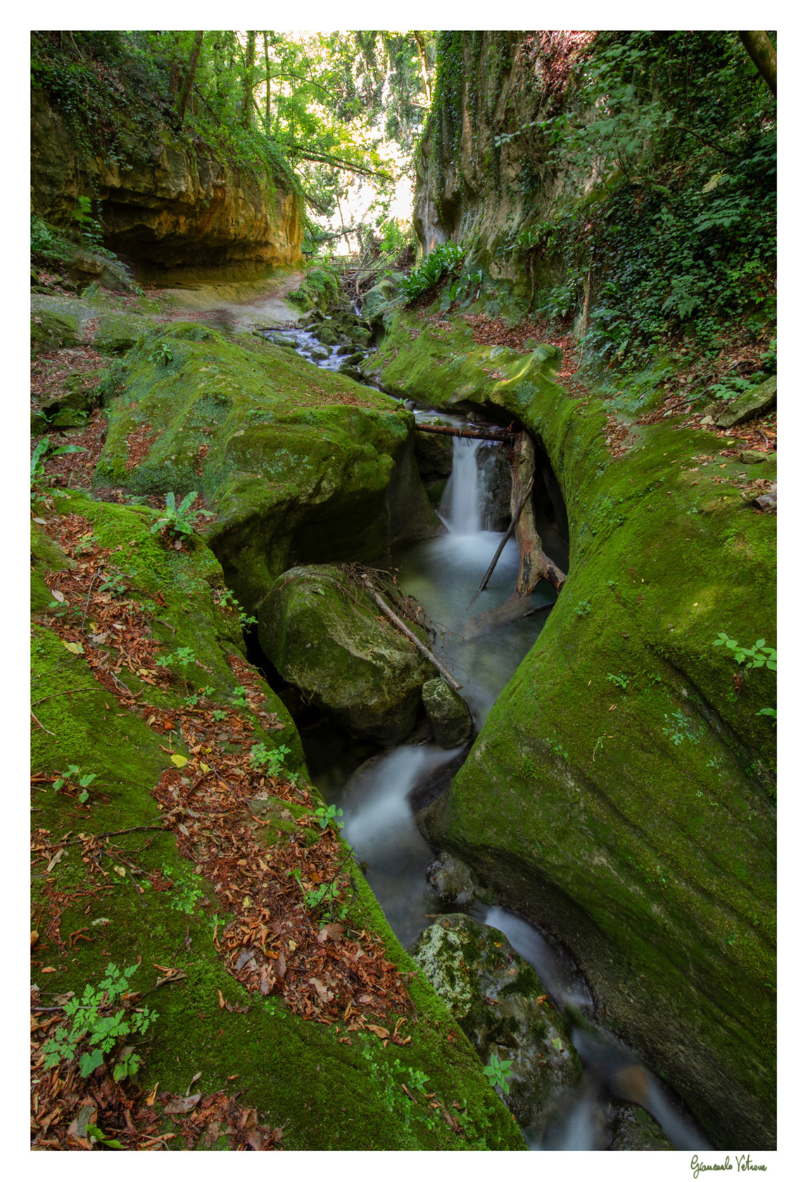 Gole del fiume alento