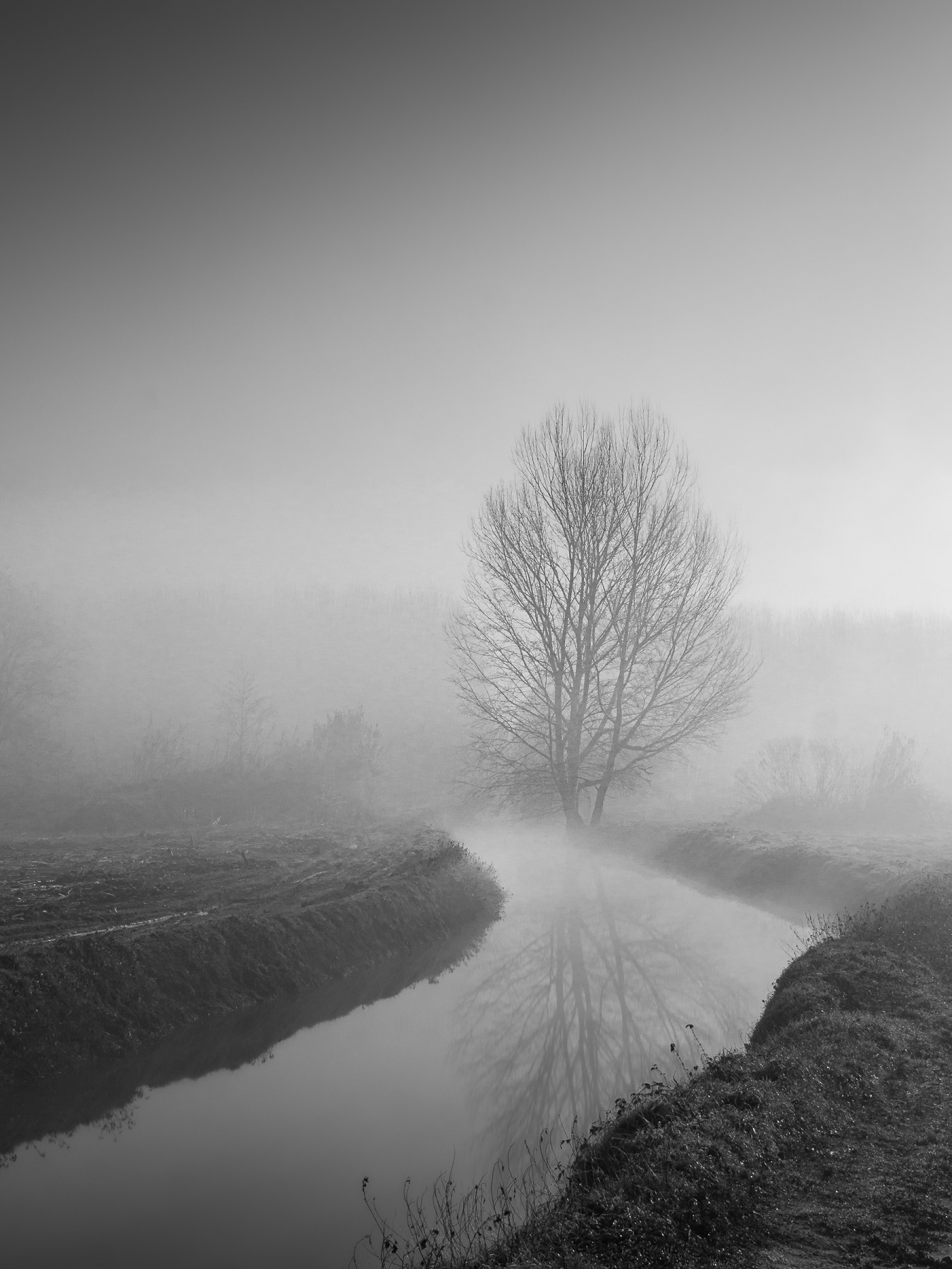 visioni d'inverno II