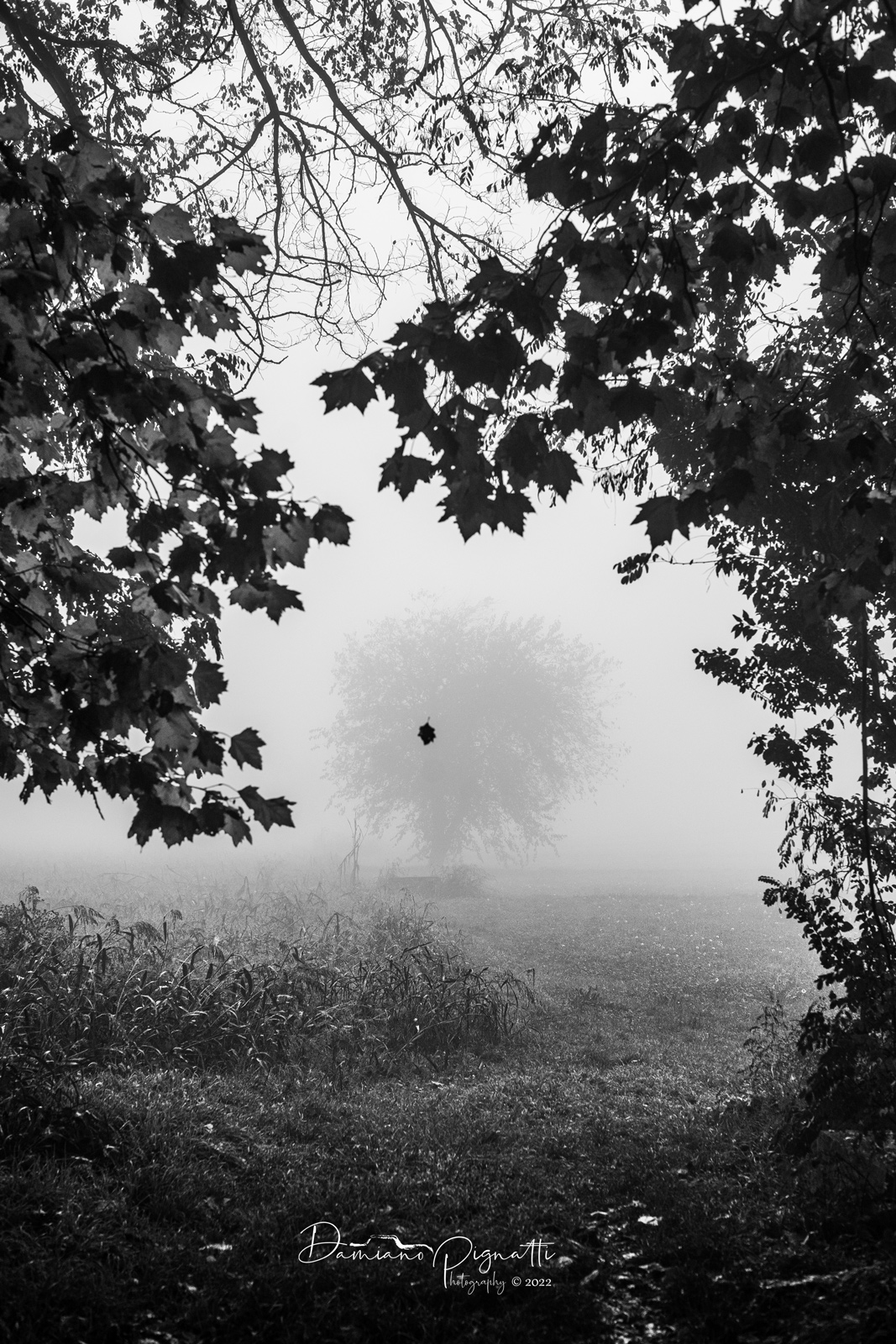 L'autunno silenzioso