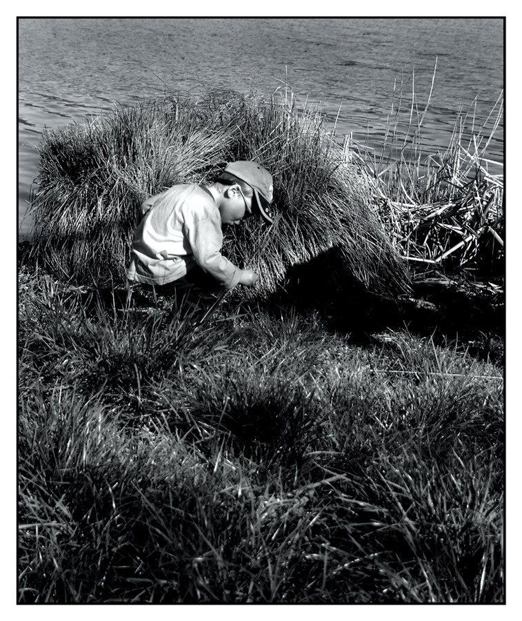 ::: CHI CERCA TROVA :::