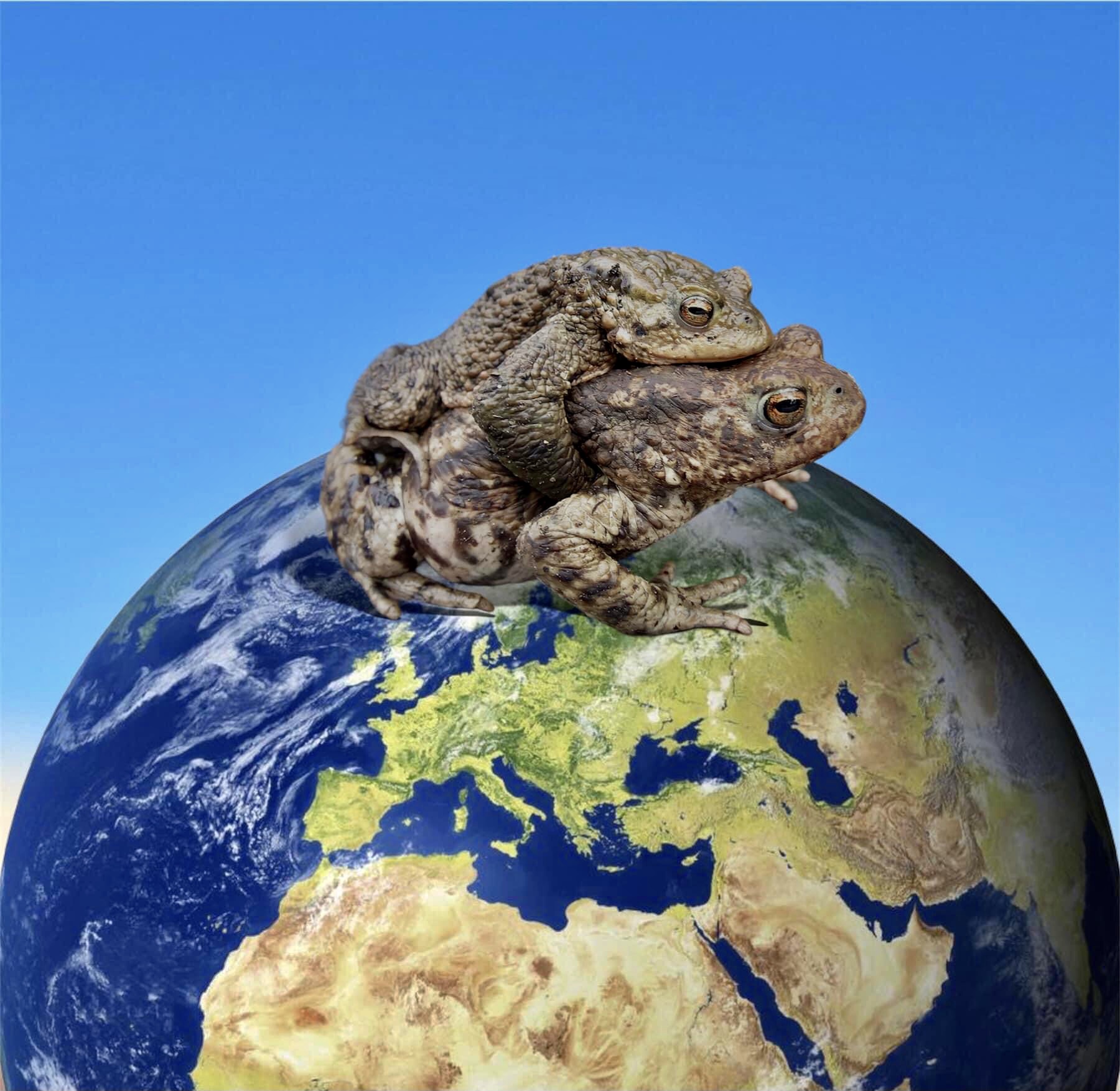 Facciamo l�amore, non facciamo la guerra!