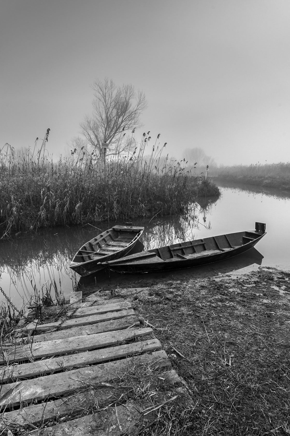 coppia in camporella