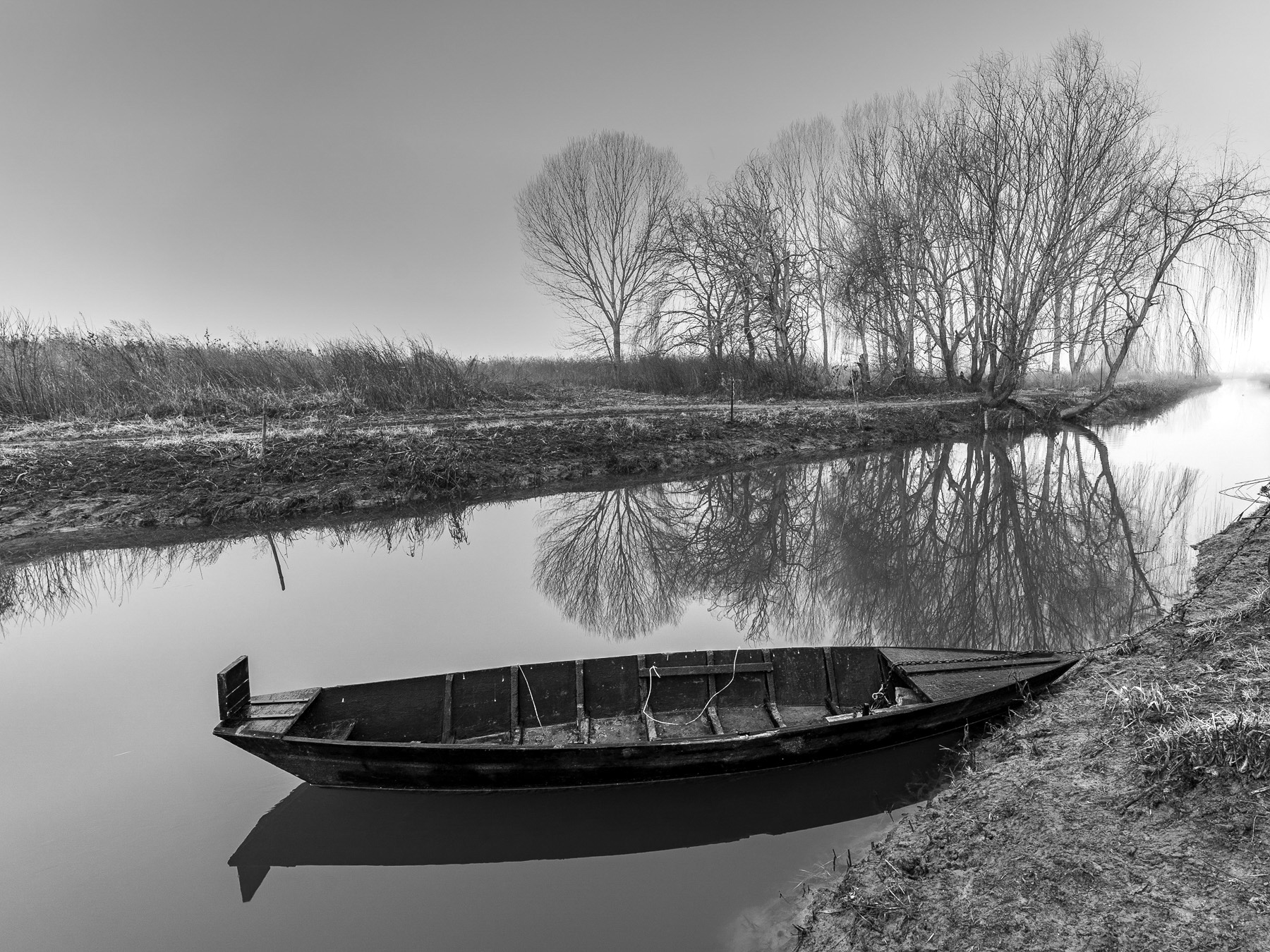 immobilit� temporanea