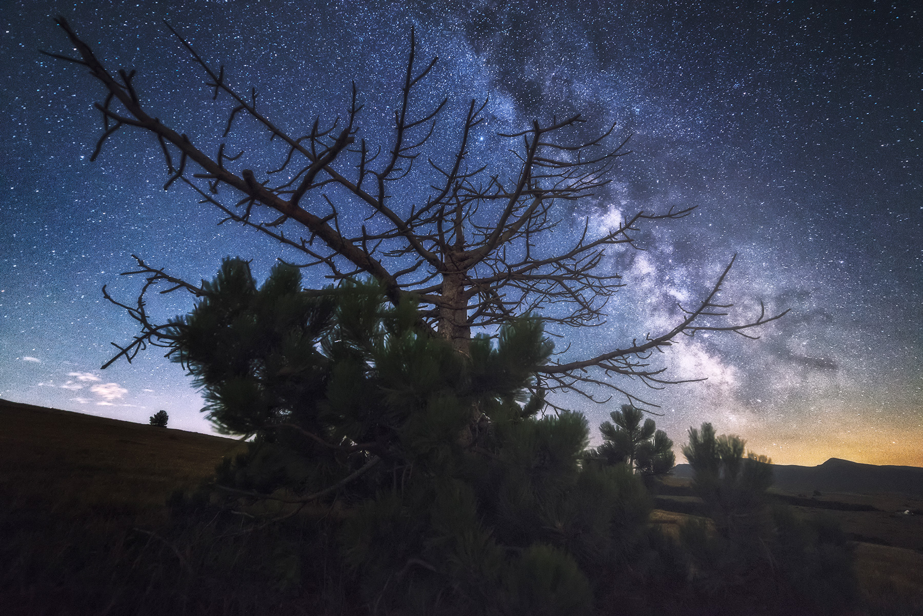 back to the primitive