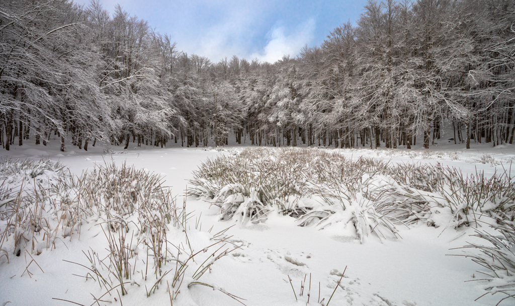 ...� arrivata la neve!