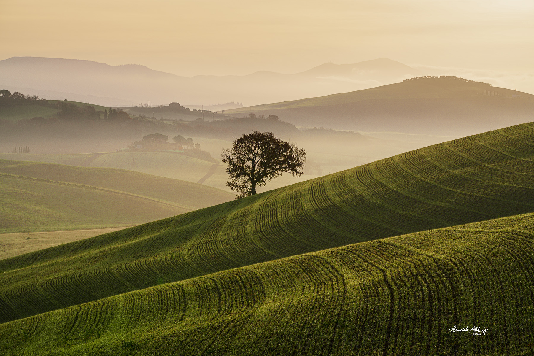Solitario sul crinale..