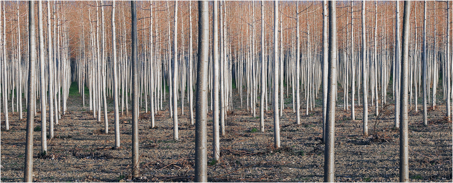 lllllllllllllllllllllll