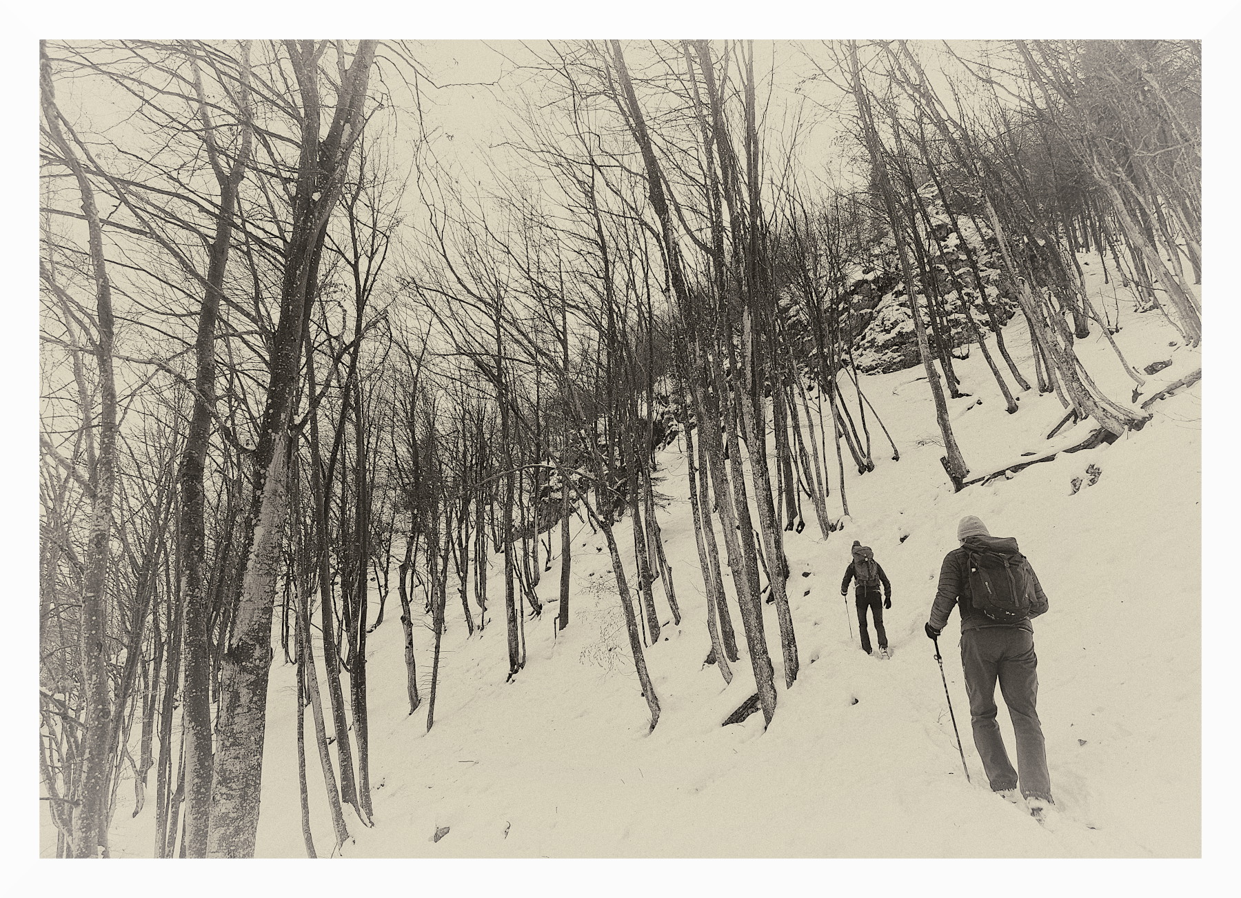 Escursione invernale