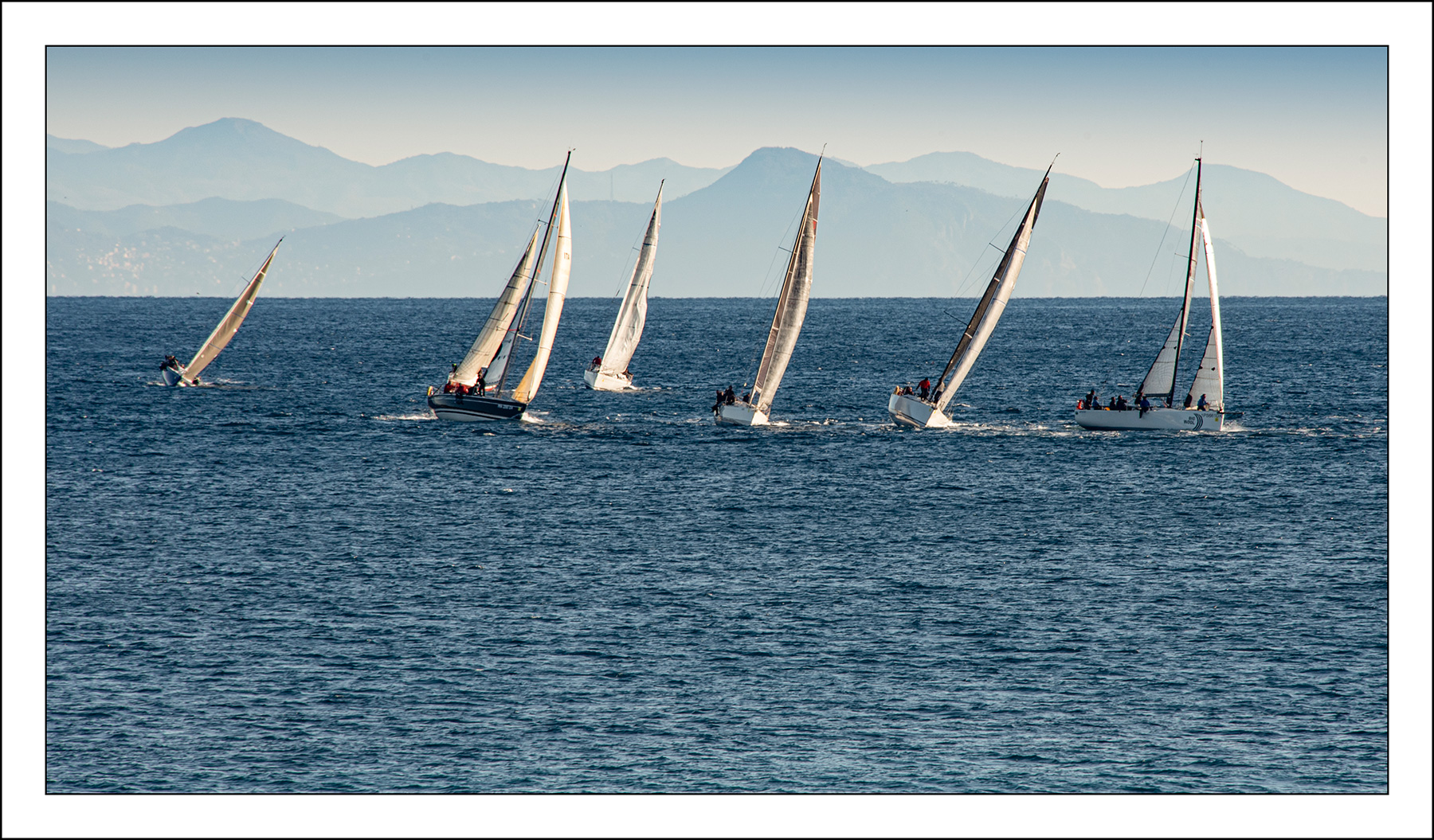 Vitamina e le altre 2