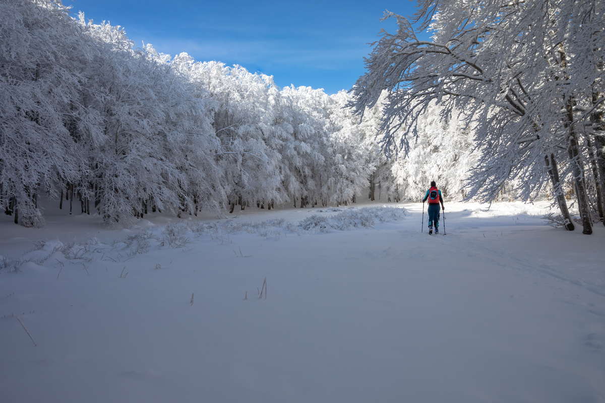 da soli tra la neve