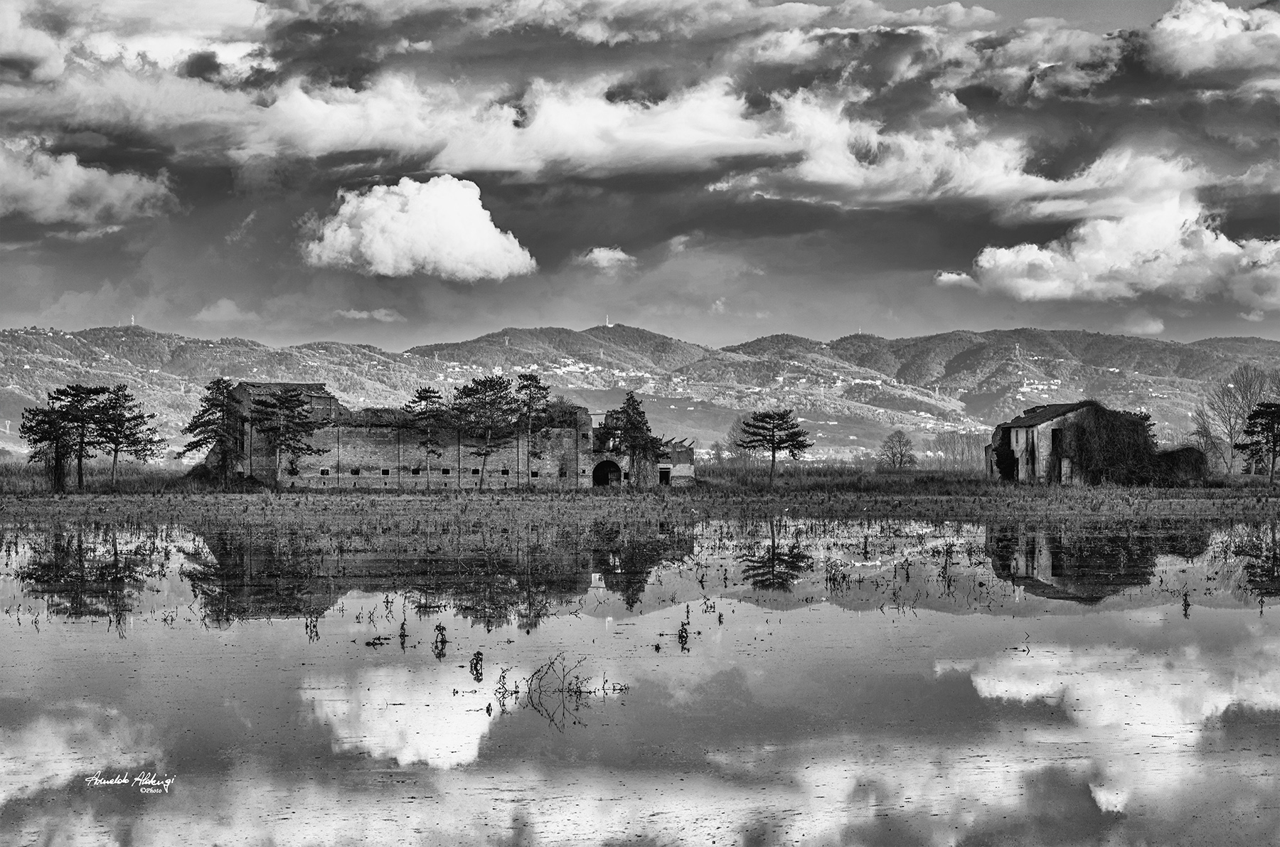 Sigaraia del Piaggione.. Padule di Fucecchio