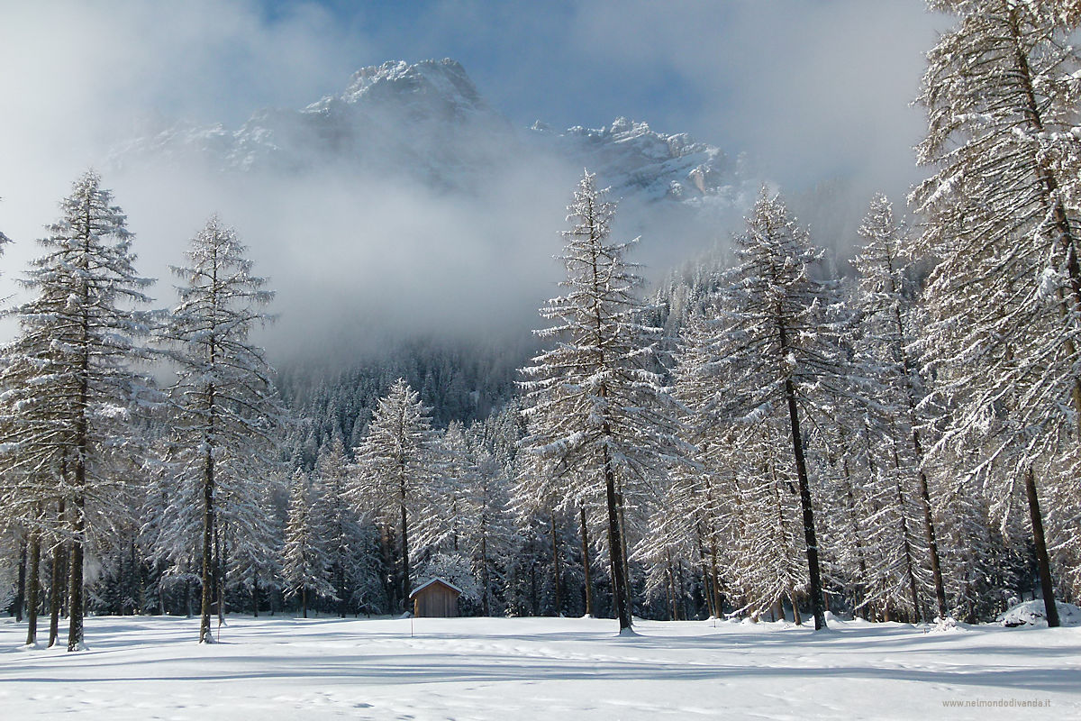 Radura nel bosco innevato