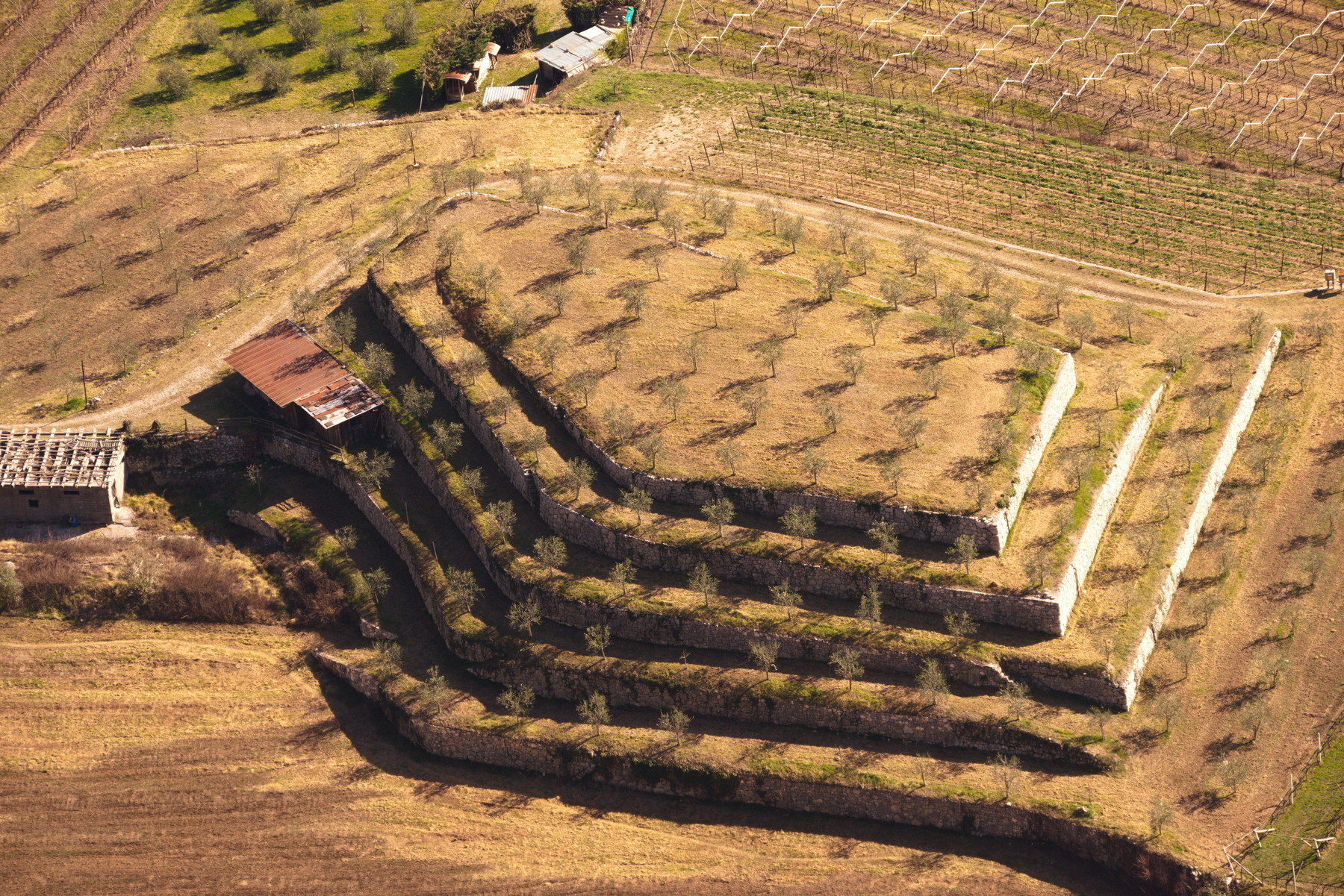 La collina squadrata