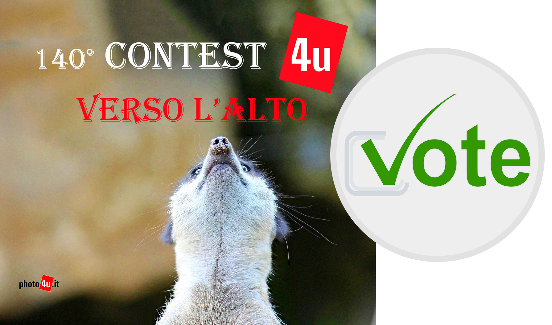 Contest #140 Verso l'alto - IN VOTAZIONE