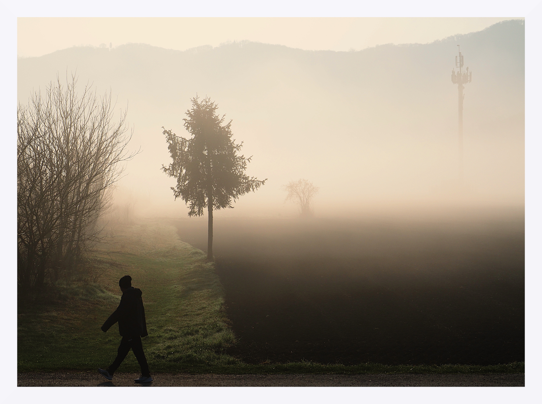 Passante nella nebbia mattutina