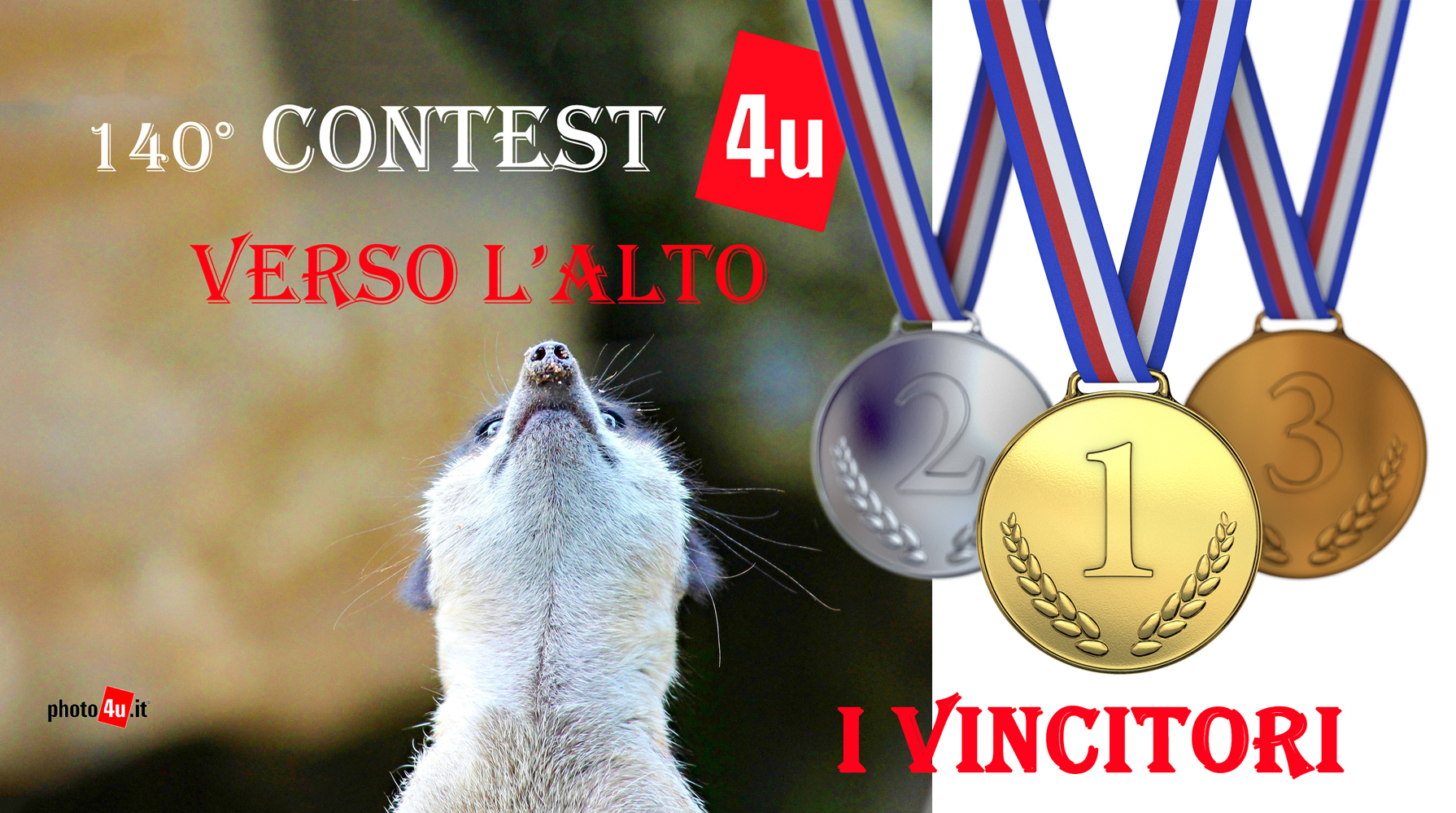 Contest #140 Verso l'alto - I VINCITORI