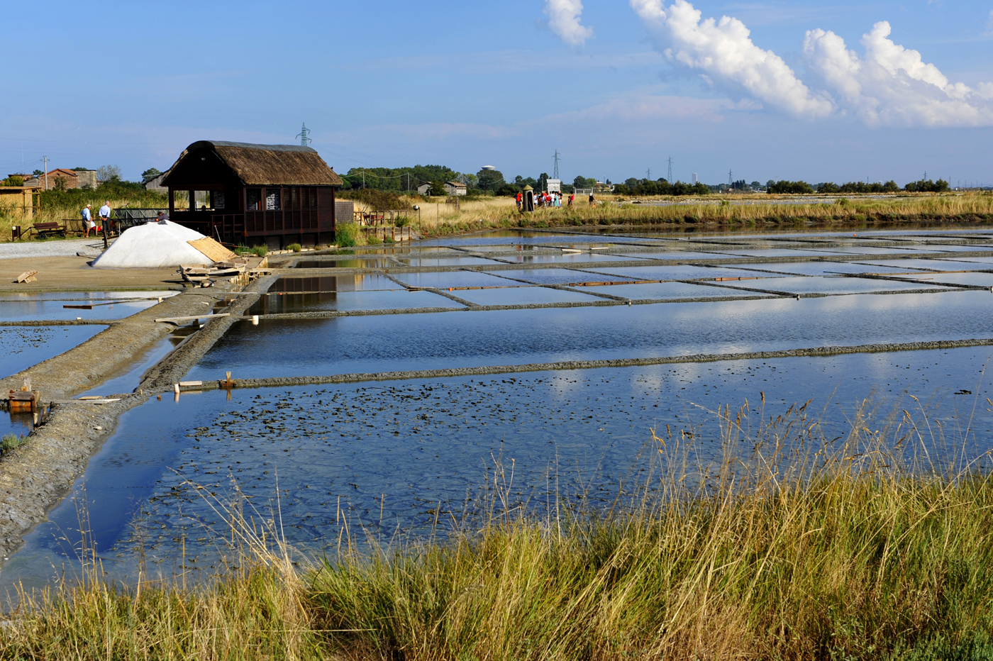 Saline  di Cervia.