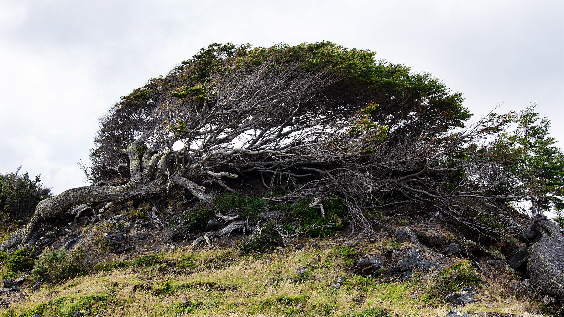 mi piego ma non mi spezzo