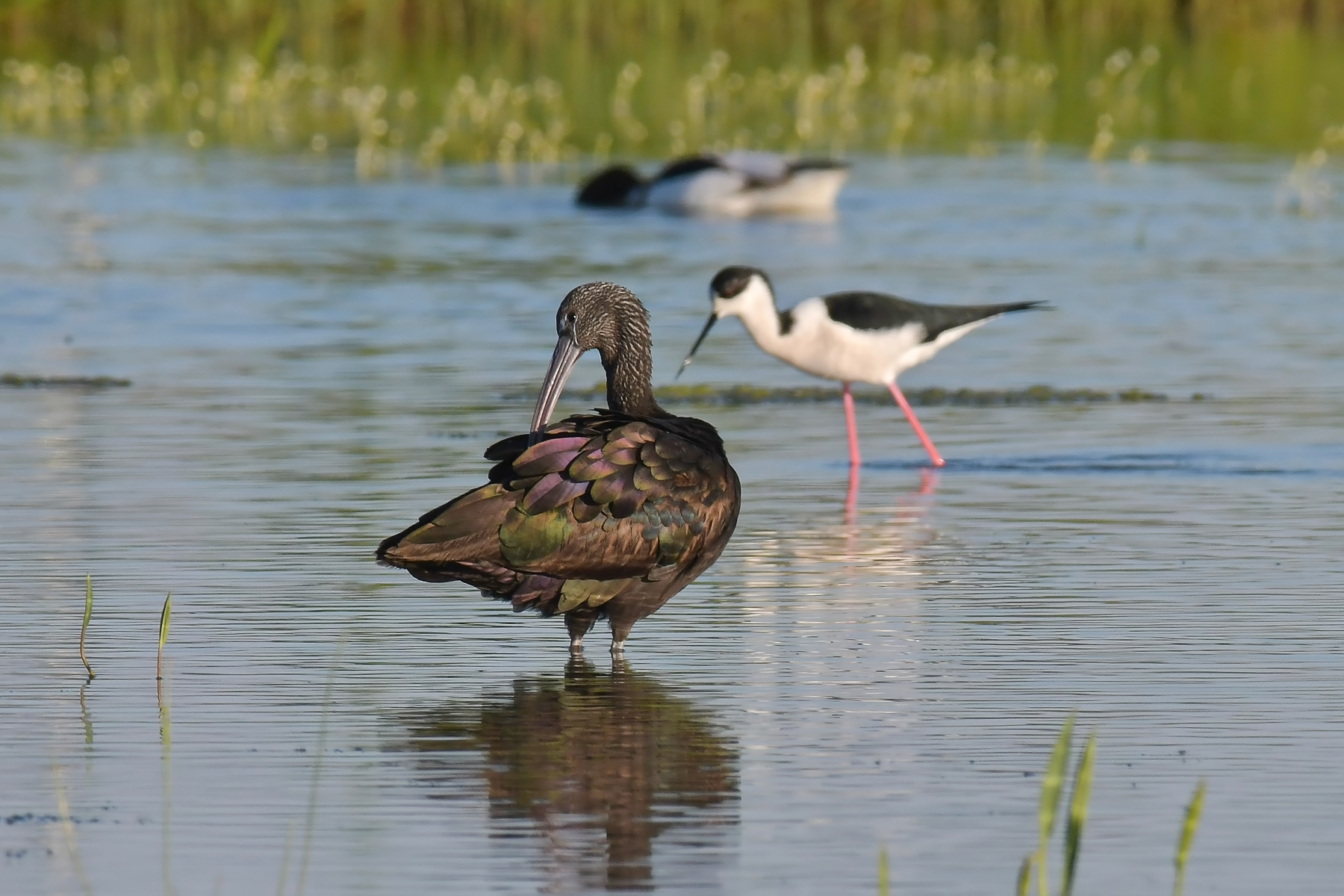 Primo, secondo e terzo piano...
