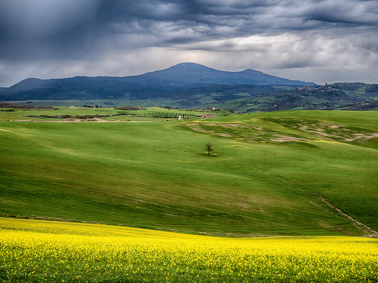 E' bello anche quando e' brutto