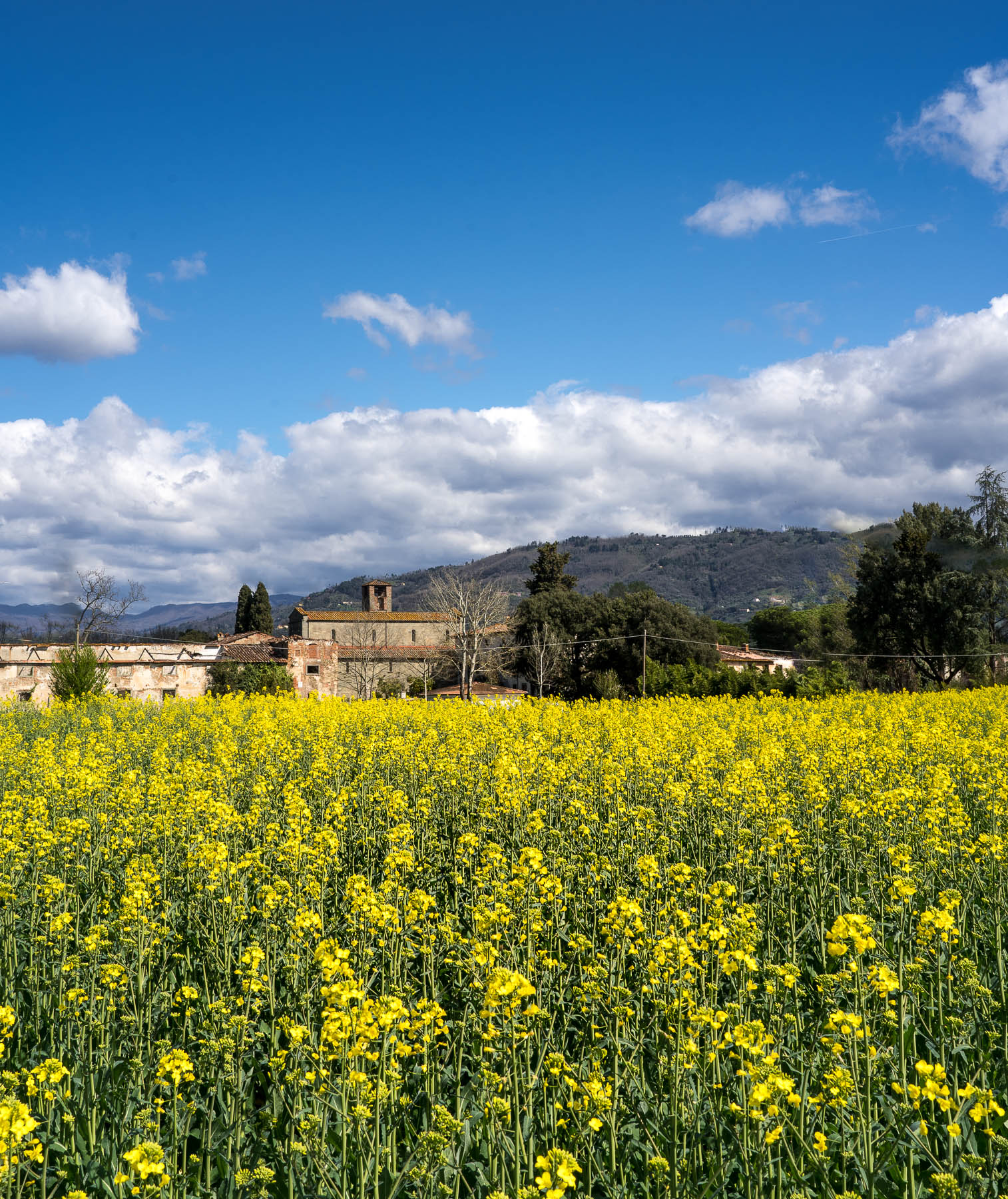 foto di stagione  II