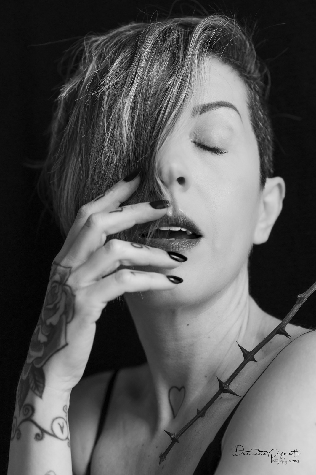 Non c'� rosa senza spine II