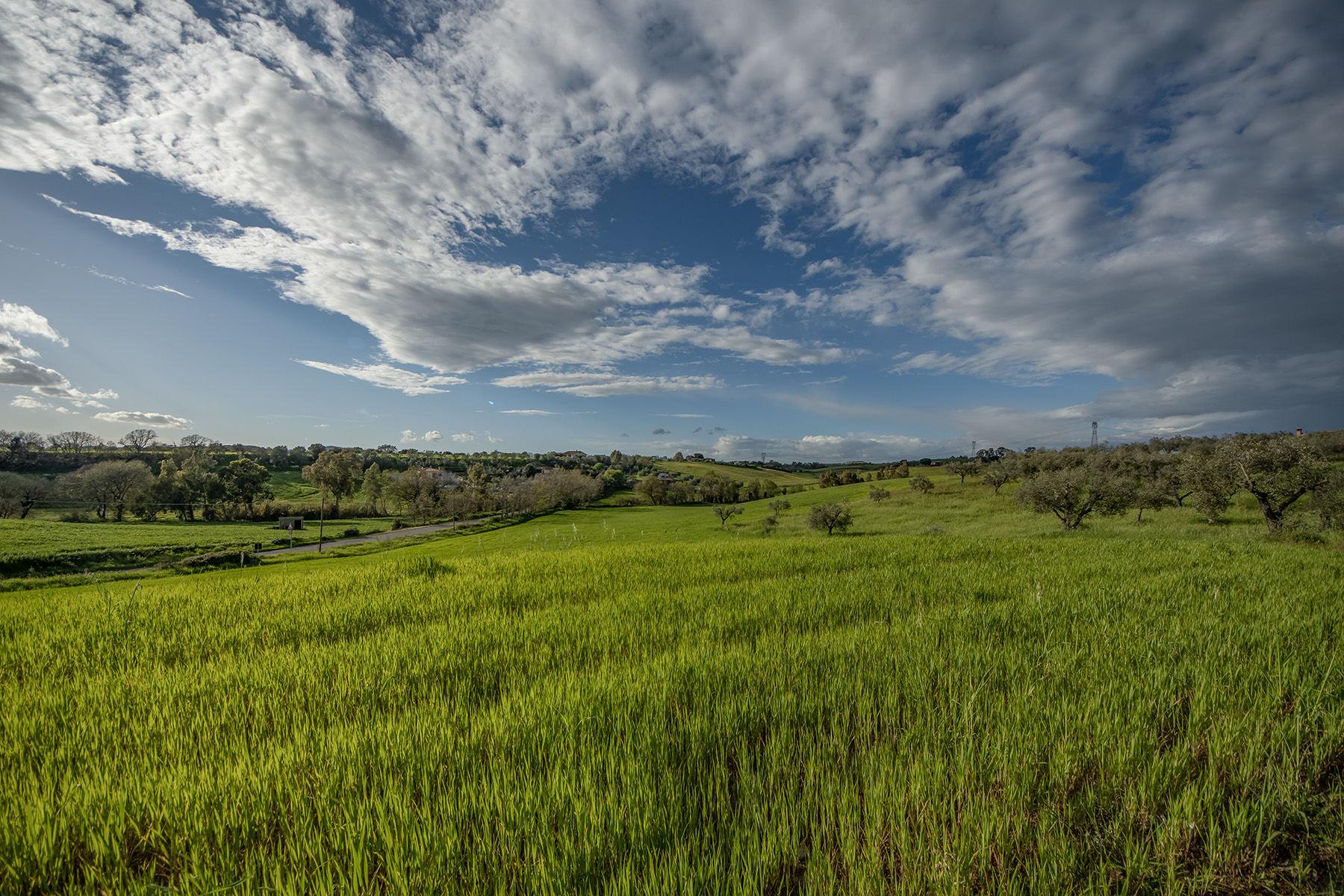 Sulla_via_Braccianense_Apr2023_3