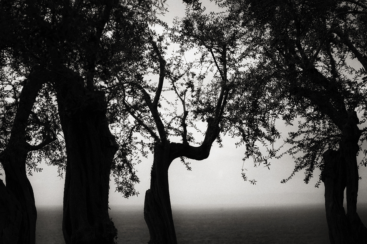 Sotto la Pioggia di Primavera