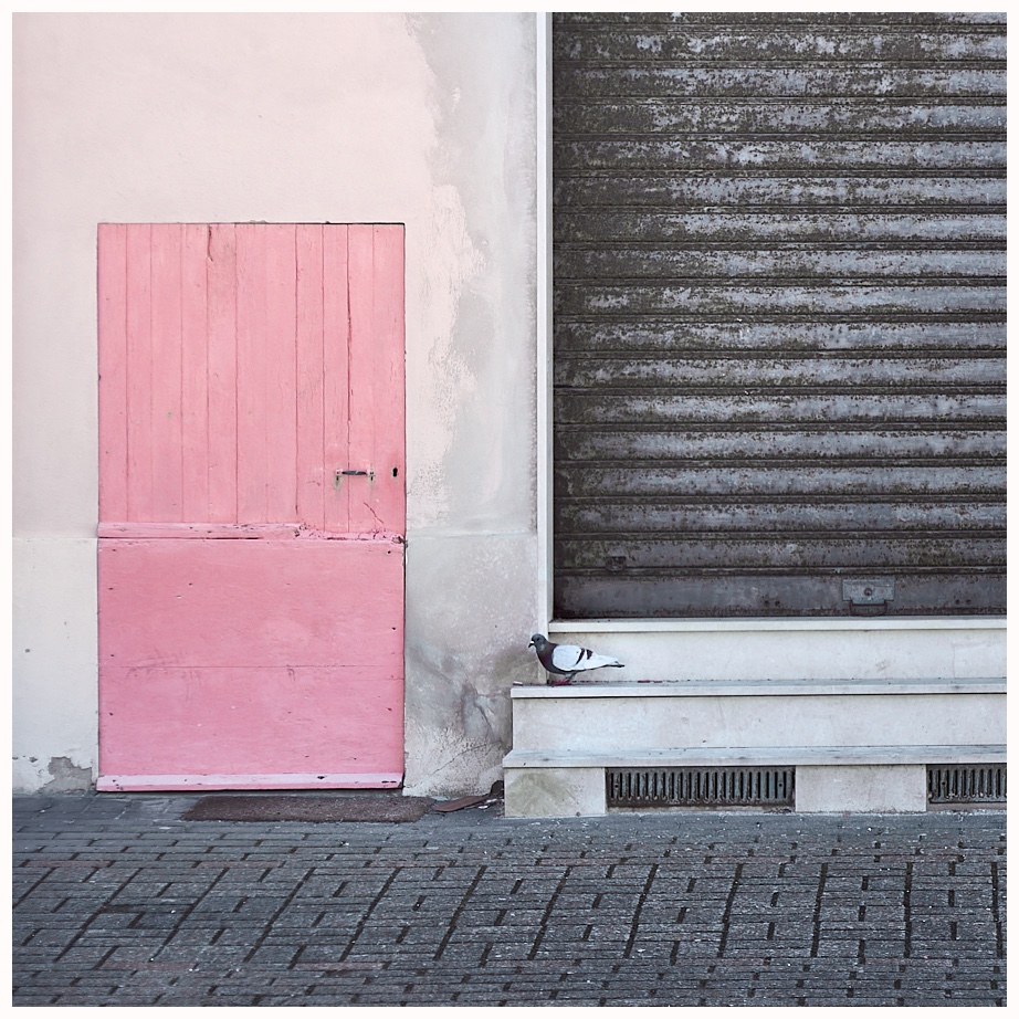 porta rosa con piccione