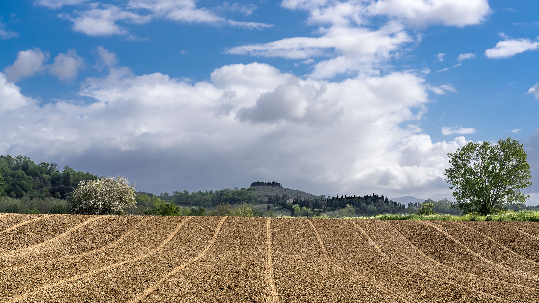 segnaletica orizzontale