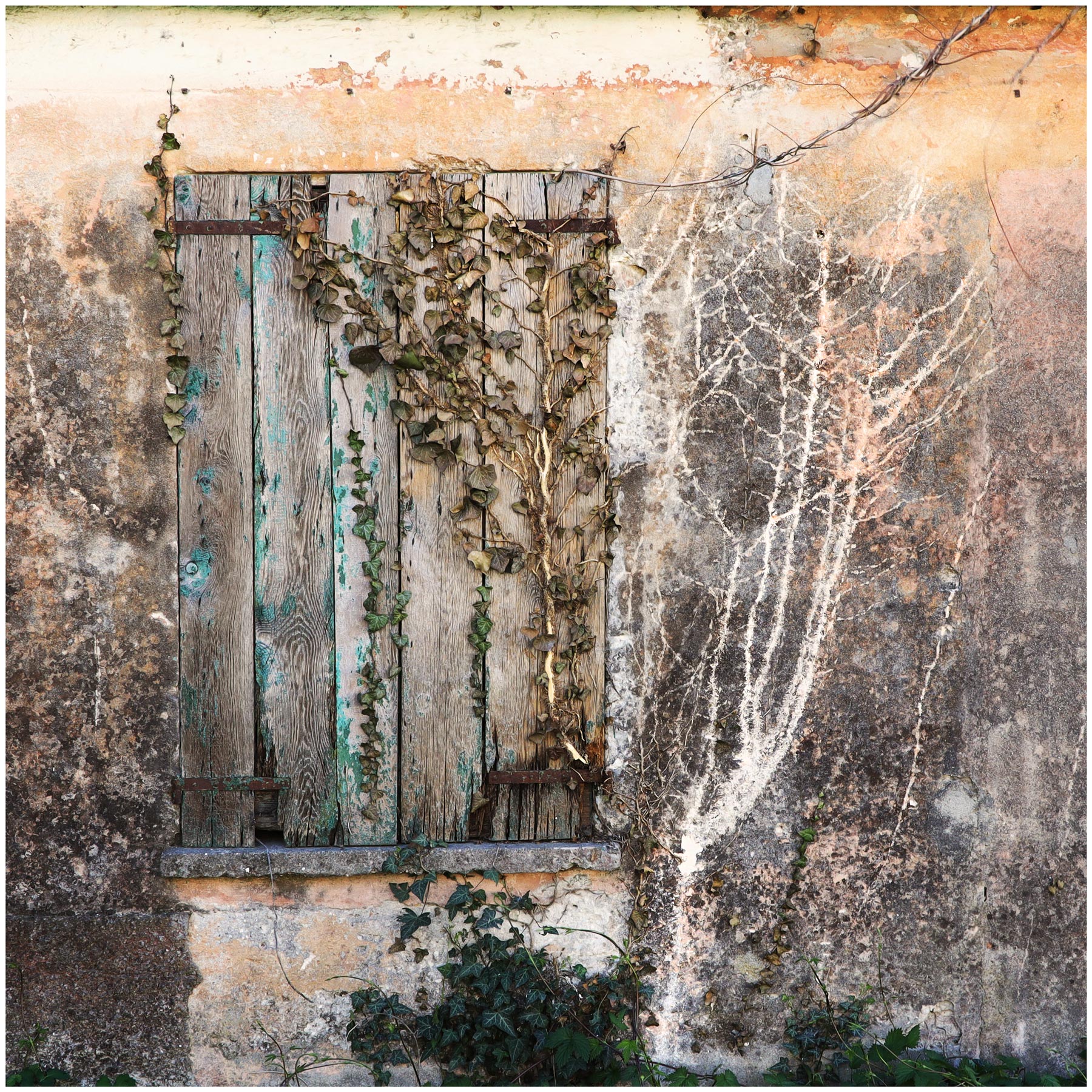 tracce di una vita...