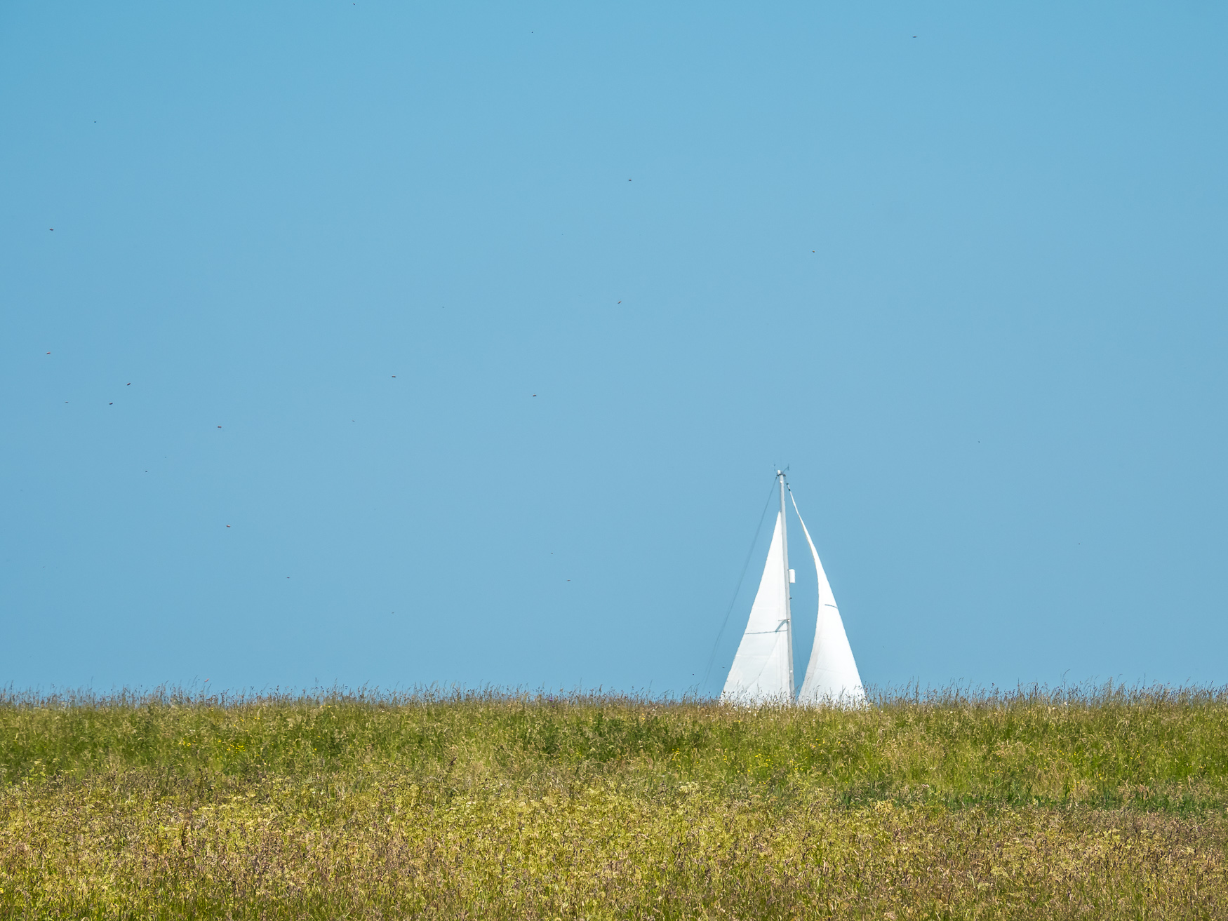 E il naufragar m'� dolce in questo mare