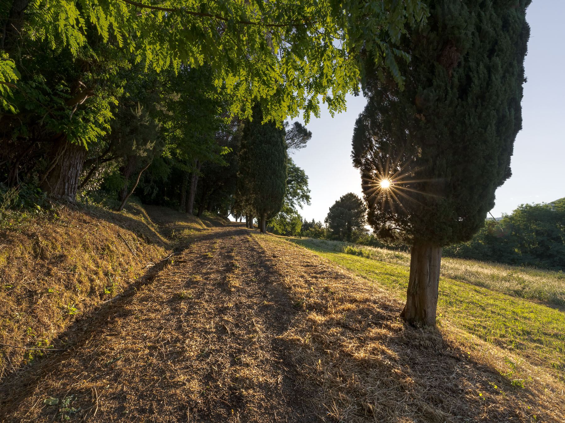 la fine di un pomeriggio estivo