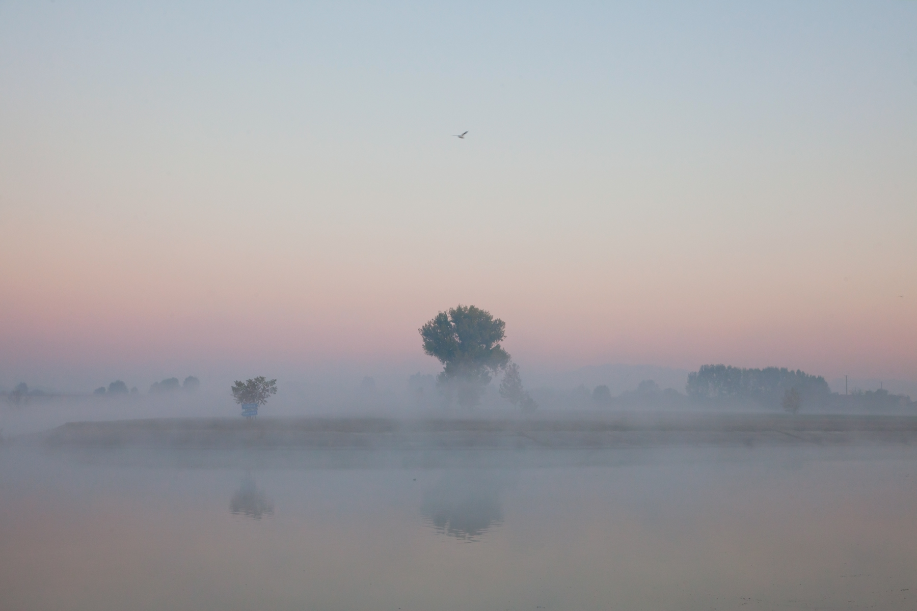alba sul canal bianco...