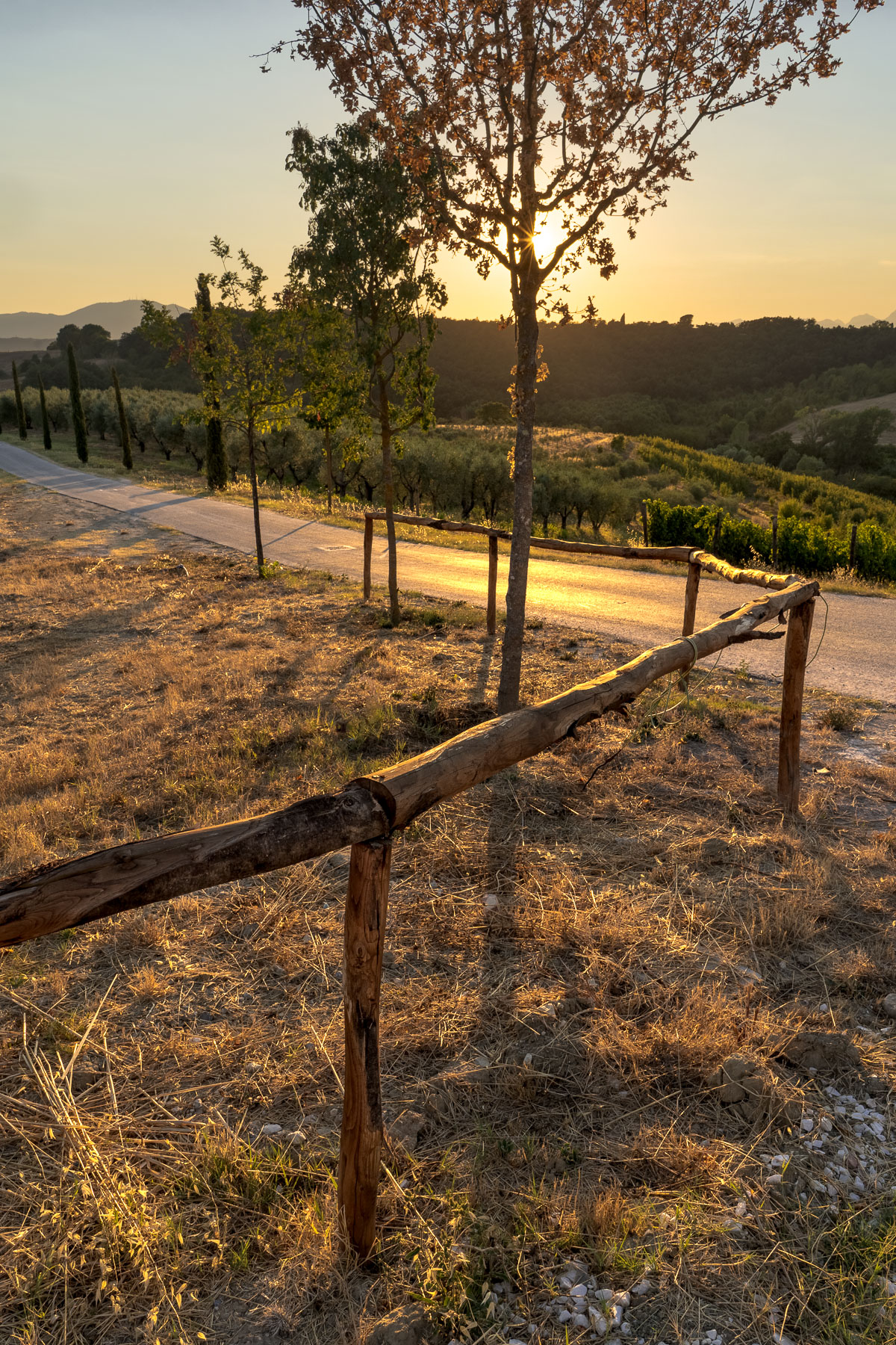 la fine di un pomeriggio estivo IV