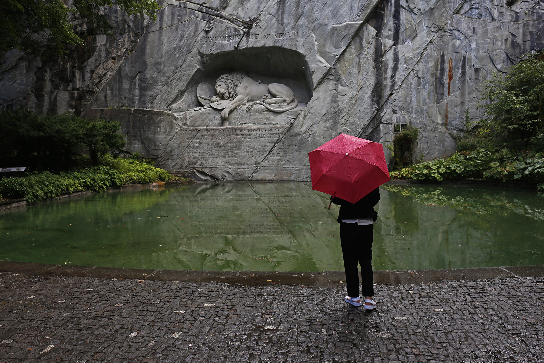 Guardando il monumento del leone