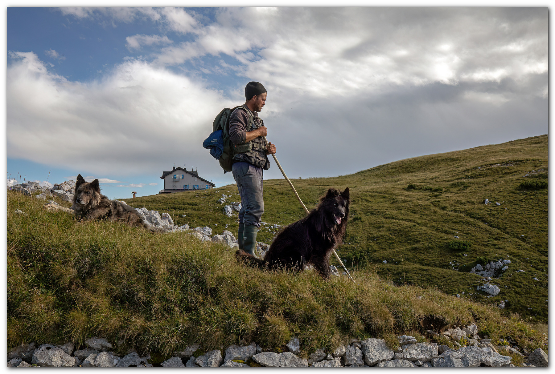 Occhi vigili sul gregge.