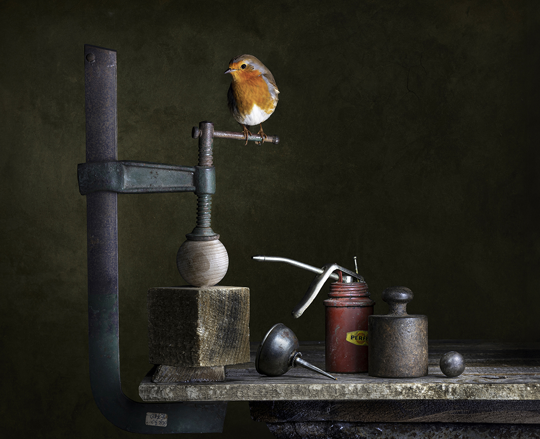 Vecchi attrezzi e non solo