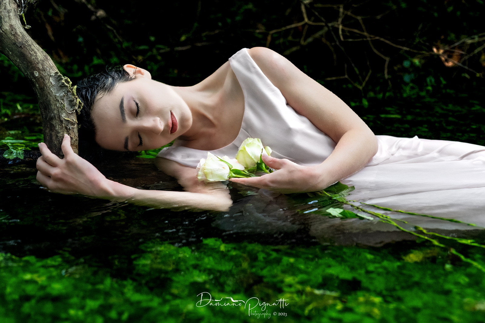 In un dolce sogno III