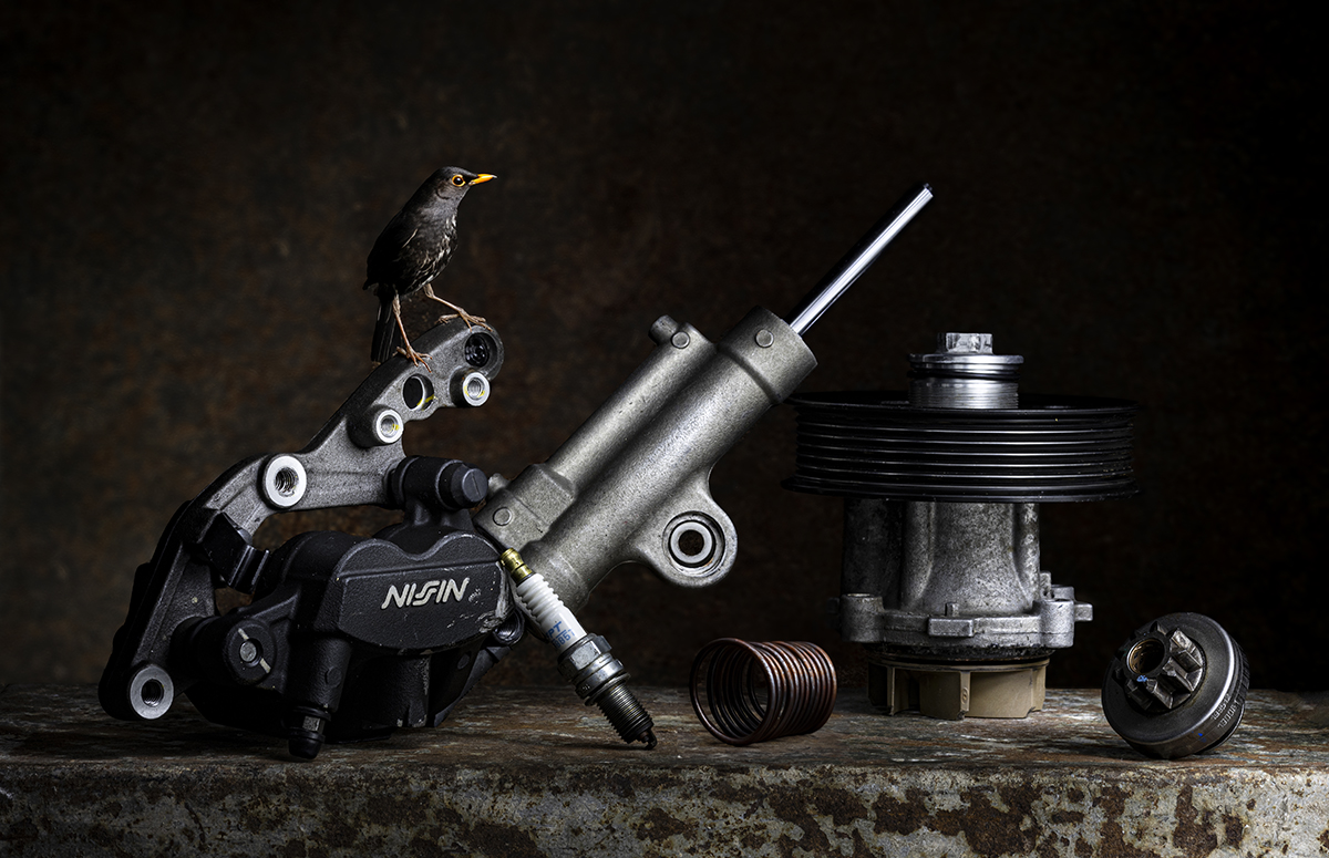 Un uccellino in officina