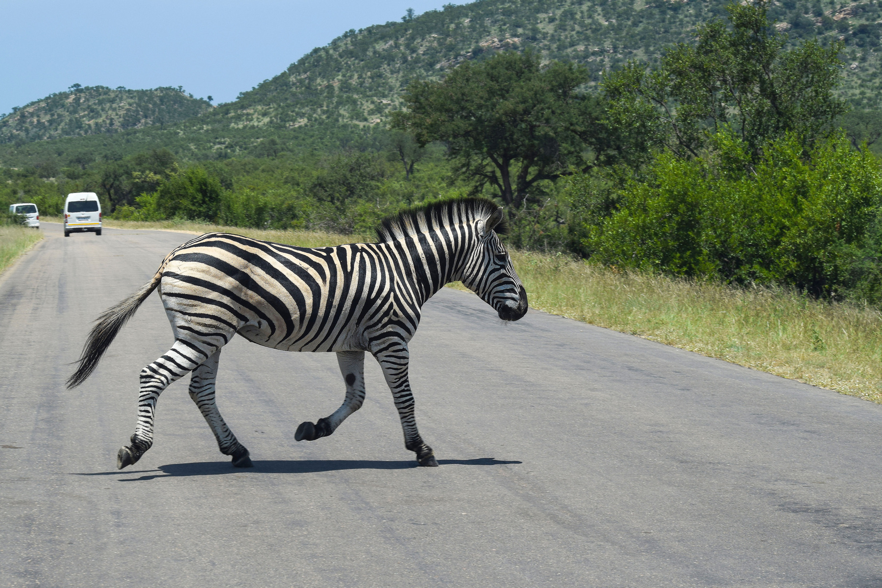 Attraversamento consentito