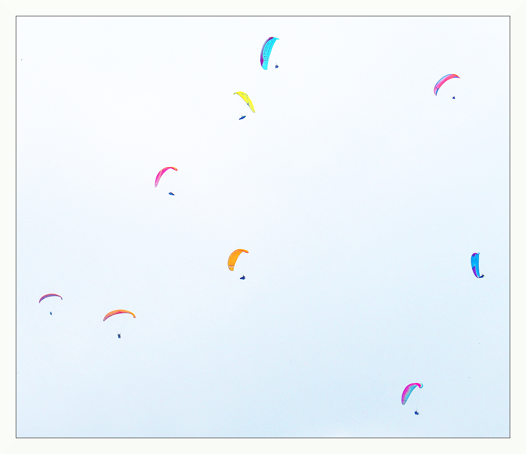 piccolo stormo umano