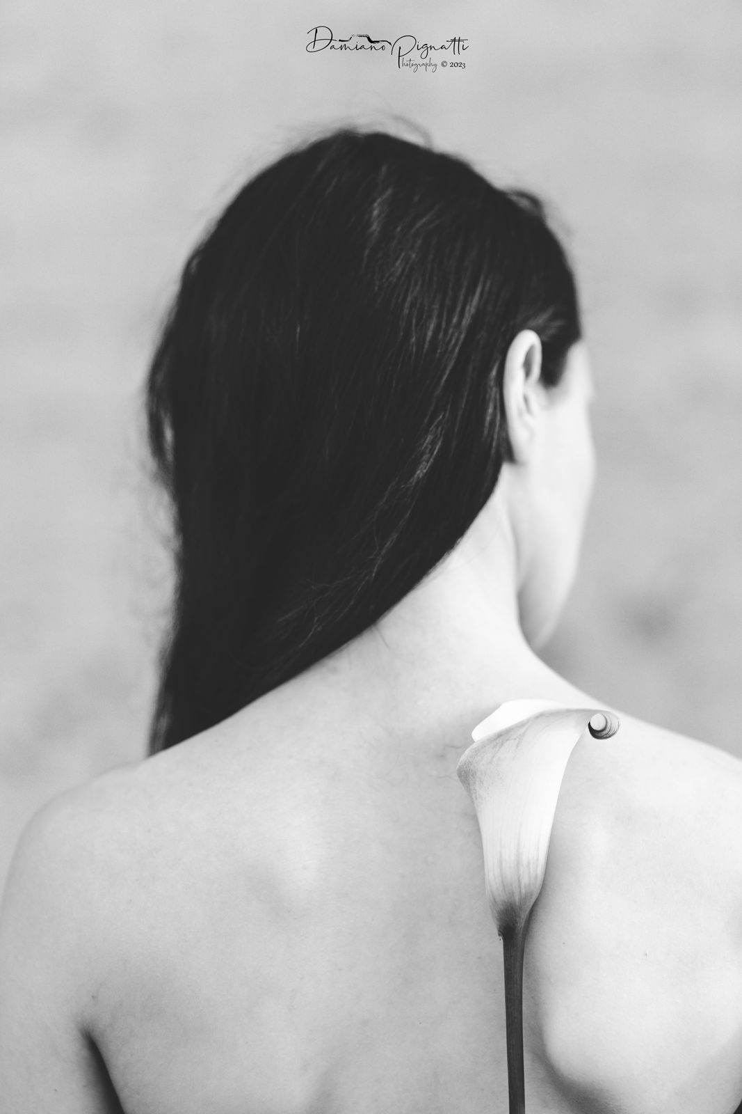 Certe cose non appartengono agli uomini