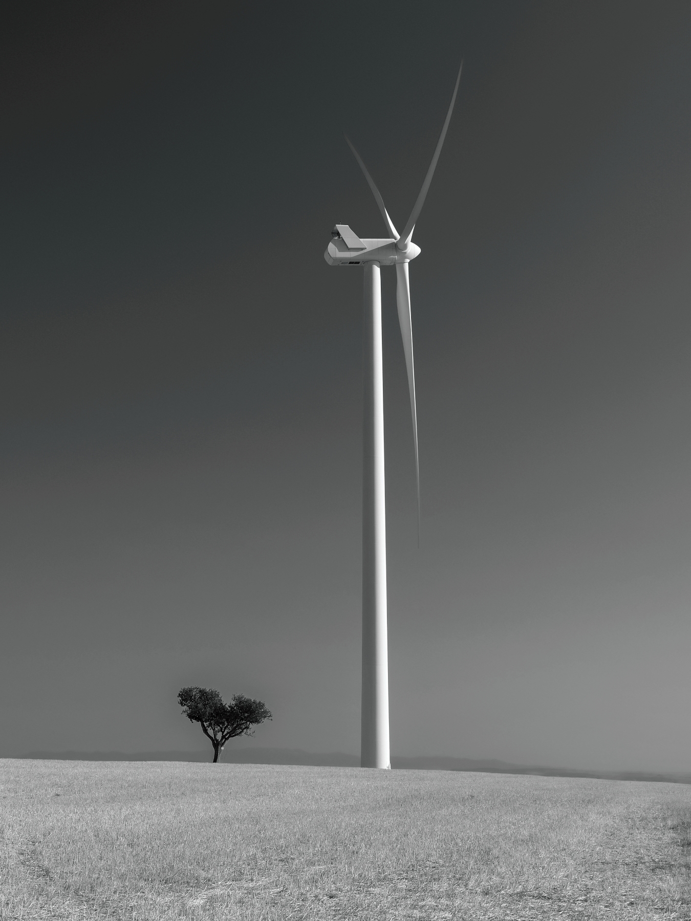 Il gigante e il nano