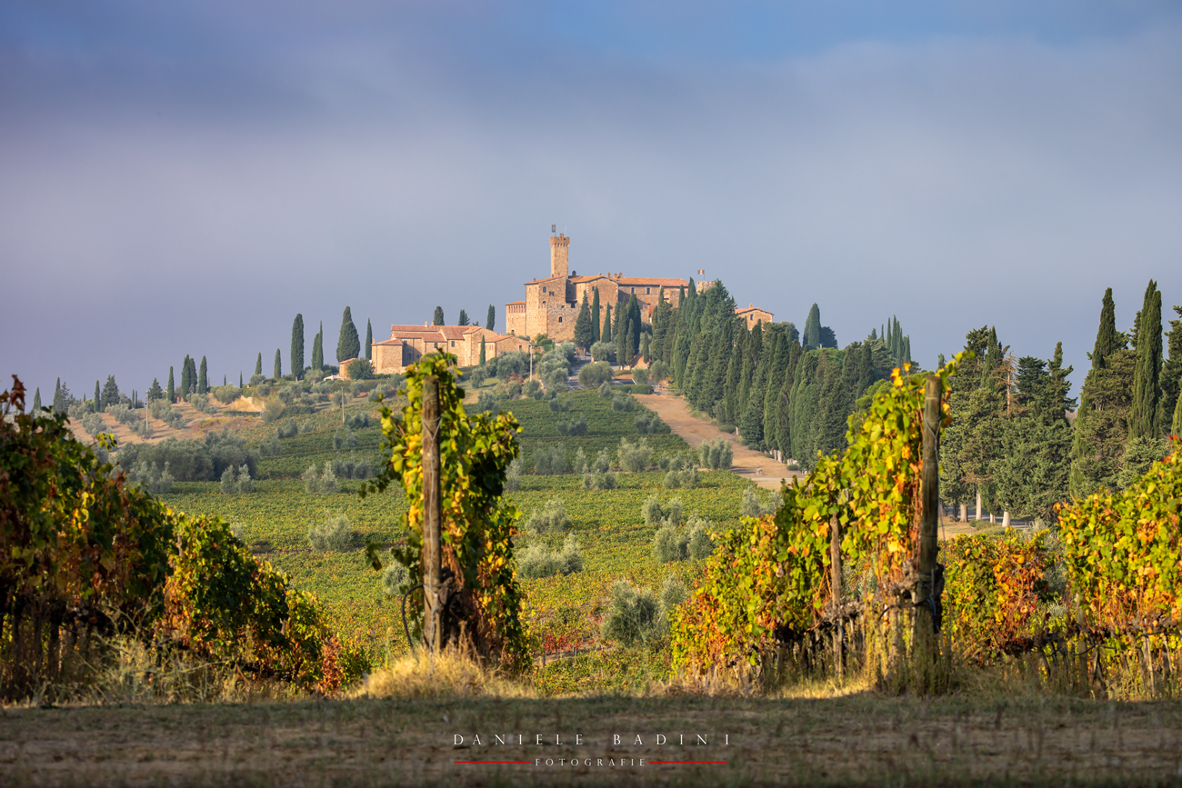 l'autunno in vigna