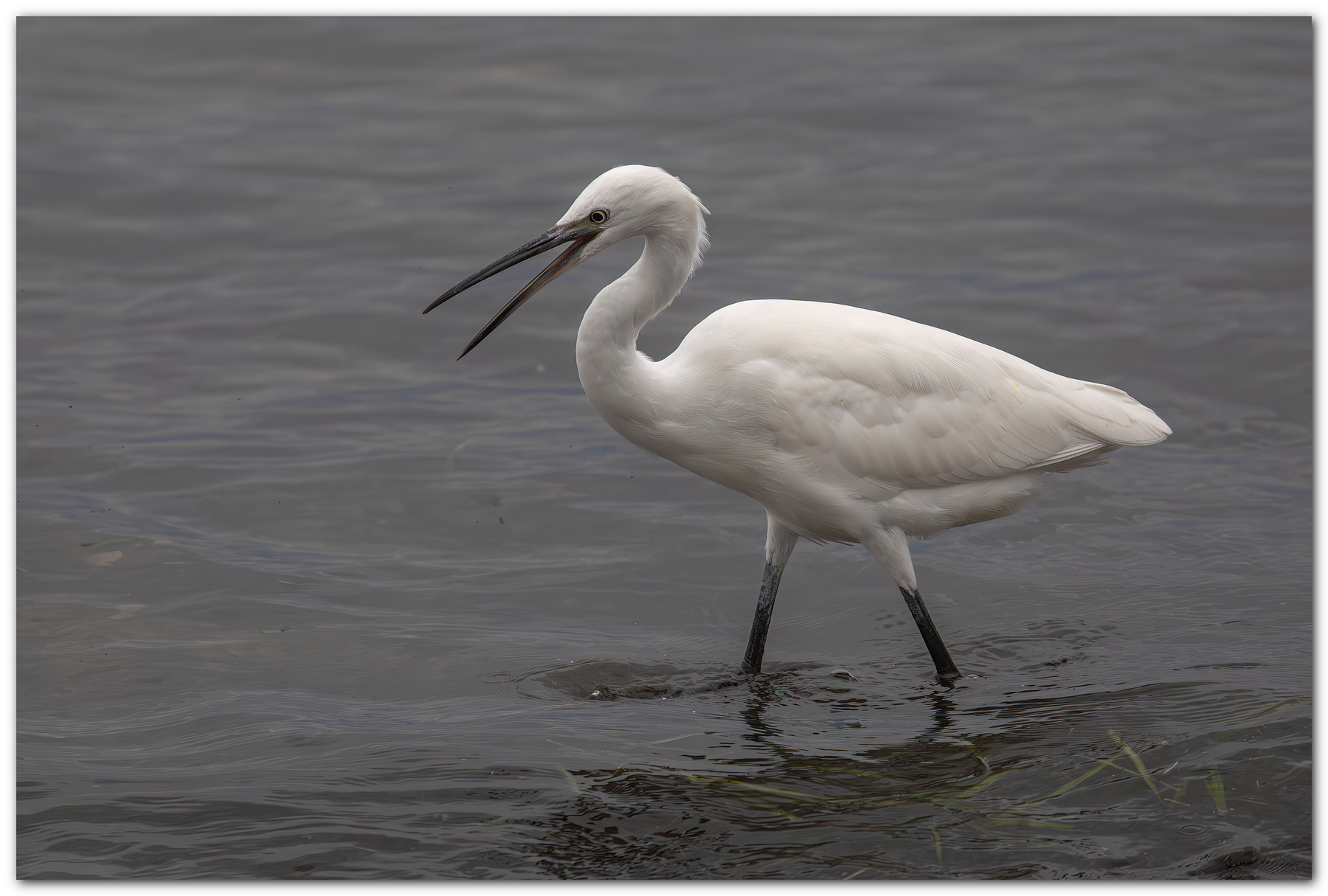 Due chiacchiere in riva al lago
